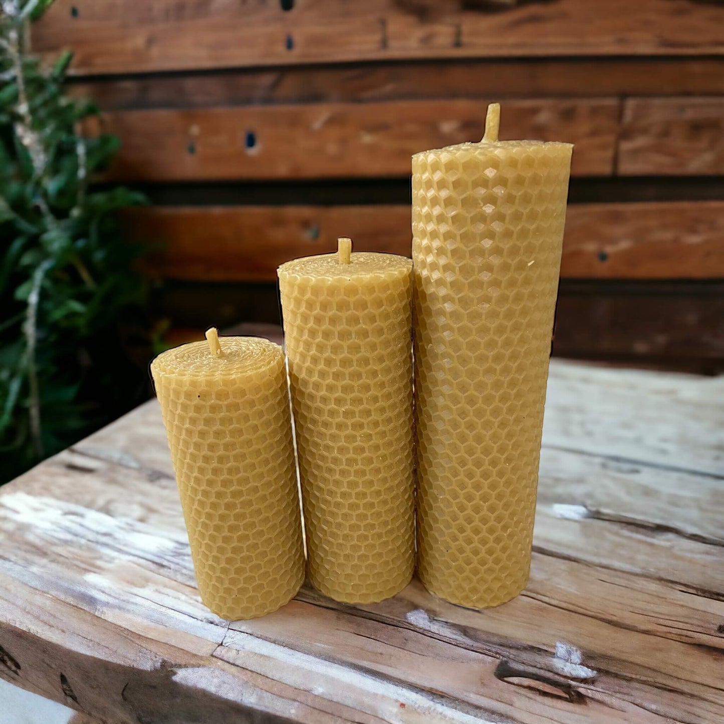 Golden Honeycomb