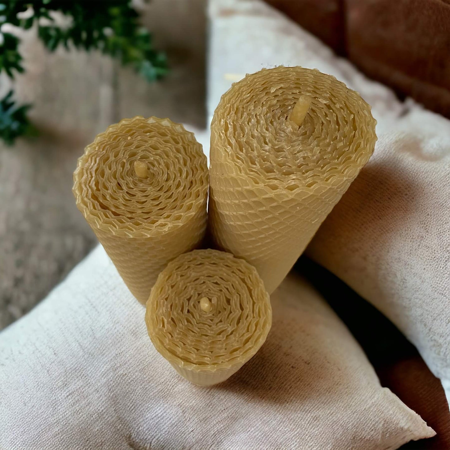 Golden Honeycomb