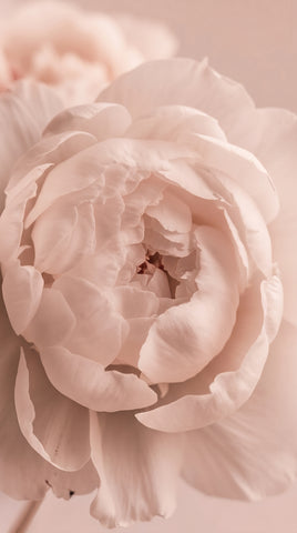 Description of image