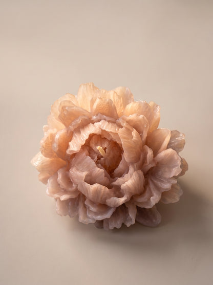 Ivory Peony Candle
